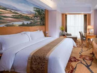 Vienna Hotel Foshan Lecong Centre - 6
