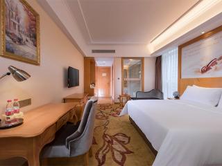 Vienna Hotel (Laibin North Station) - Guwa - 8