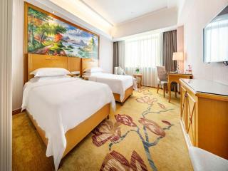 Vienna Hotel Banxuegang Road - Longgang - 0