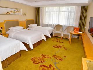 Vienna 3 Best Hotel Harbin Jiangguo Avenue Snow And Ice World - 4