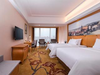 Vienna Hotel (Laibin North Station) - Guwa - 1