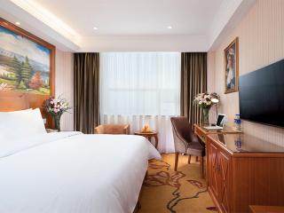 Vienna Classic Hotel (Anlu Hengkun) - 4