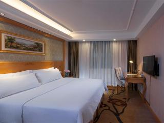 Vienna Hotel Guangzhou Tianhe Bus Station - Canton - 9