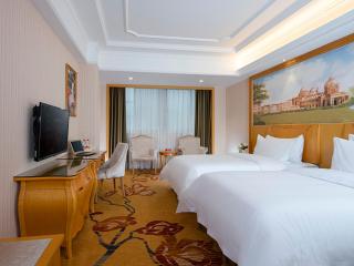 Vienna International Hotel(Chenzhou Wuling Square Shop) - Chenzhou - 6