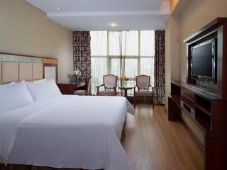 Vienna Hotel in Pinghu Square - Longgang - 9