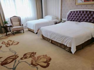 Vienna International Hotel Nanning Zoo - Nanning - 4