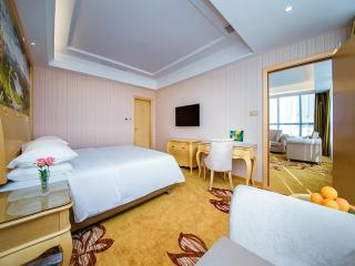 vienna hotel (HuaZhong Agricultural University in South Lake Store) - Wuhan - 2