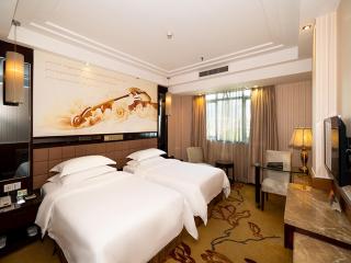 Vienna Hotel Zhaoqing Qixingyanpaifang - 8