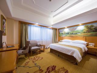 Vienna international hotel shanghai pudong airport south store - Nanhui - 4