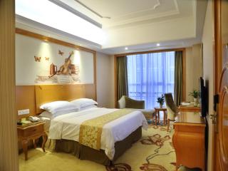 Vienna International Hotel Changsha West Bus Station - Changsha - 1