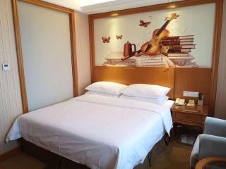 Vienna International Hotel Hangzhou Zhuantang Art School - Wenyan - 3
