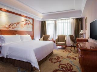 Vienna Hotel Longchuan - 4