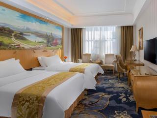 Vienna Hotel Meizhou Jiangnan - Meizhou - 4