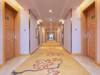 Vienna Hotel Yangjiang Jiangcheng District - Yangjiang - 3