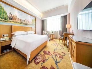 Vienna Hotel Banxuegang Road - Longgang - 2