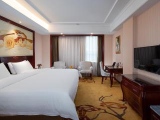 Vienna hotel ( maanshan park post golden eagle international shop) - Ma'anshan - 2