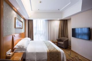 Vienna Hotel Jiangsu Changzhou Qingfeng Park - Changzhou - 1