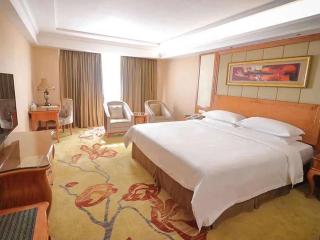 Vienna Hotel Shanwei Chengqu Xingye Road - Shanwei - 4