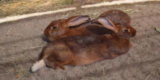 Hof Schlossblick - 2