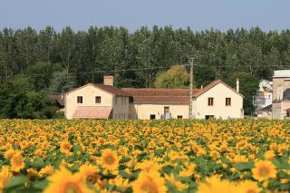 Loire Escapes - Maison D'Hibou - Berrie - 8