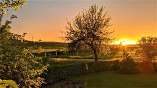 Pension Margaretenhof - Bayerbach - 1