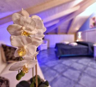 Residenza Vinci Room & Suite - 9