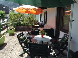 Gadenstätter Apartments in der City - Zell am See - 2
