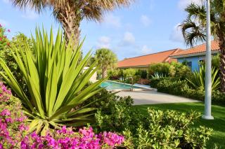 Ultimate Caribbean Experience - Willemstad - 9