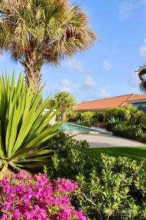 Ultimate Caribbean Experience - Willemstad - 5