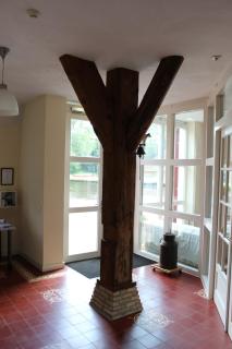 Wartena Hoeve - Vega B&B - Warten - 4