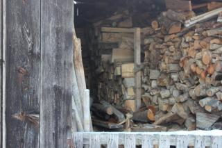 Auszeit auf dem Lindenhof - 6