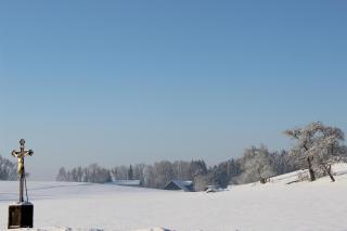 Auszeit auf dem Lindenhof - 2