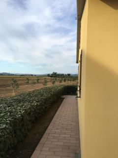Il Giardino - Riotorto - 6