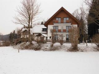 Gasthof Grüner Baum "Kongo" - 3
