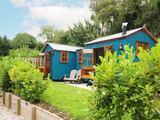 Little Silver Pheasant - 9