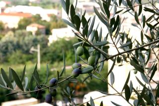 M Suites Sorrento - Sorrento - 5