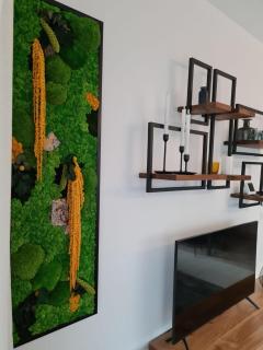 Tonic Studio Coresi - Braşov - 1