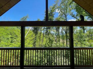 Take it Easy with hot tub and community pool - Gatlinburg - 7