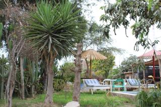Hostal Loma Blanca - Ica - 5