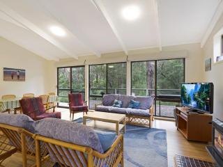 37 Coastal Court Bush Retreat By the Sea - Dalmeny - 0