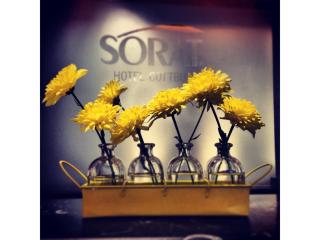 SORAT Hotel Cottbus - Cottbus - 4