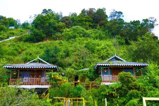 The Kodai Heaven - Kodaikānāl - 0