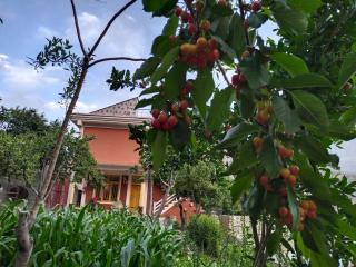 MasakAli Family Guest House - 1