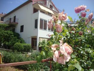 Apartments Rubinić - Jelsa - 1