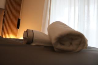 W Apartman - Vrnjačka Banja - 9