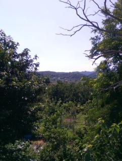 Velika seaside Apartment - 4