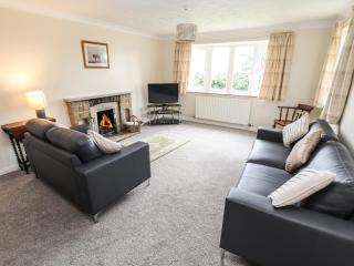 Sandmartins - Chester - 7