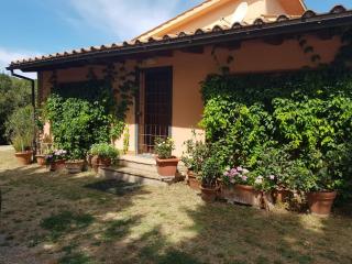 La dimora degli Etruschi - 2