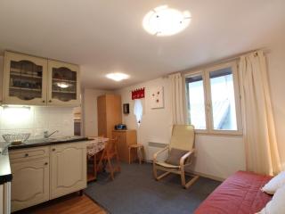 Studio cosy pour 4 pers. à 320m des pistes et proche centre - Arâches-la-Frasse - FR-1-572-102 - Les Carroz d'Araches - 1