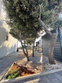 Vacation House Marton - Mandre, Pag - Kolan - 4